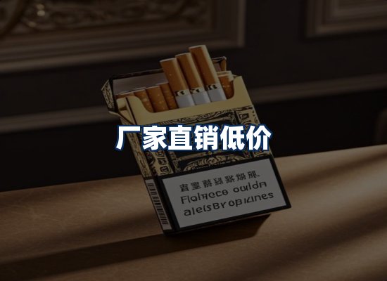 专业团队办公环境